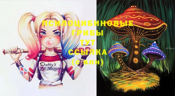 прущие крисы Арсеньев