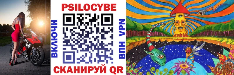наркошоп  Куса  Псилоцибиновые грибы Cubensis 